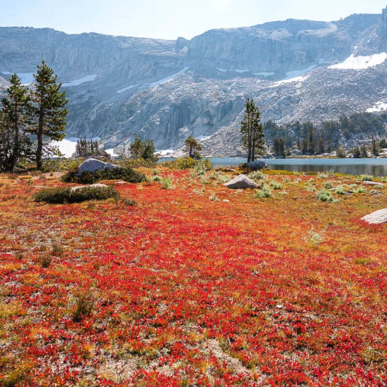 Yosemite in October: Fall Foliage, Hiking, and What to Expect