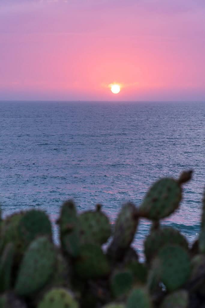 Sunset on the Trans Catalina Trail
