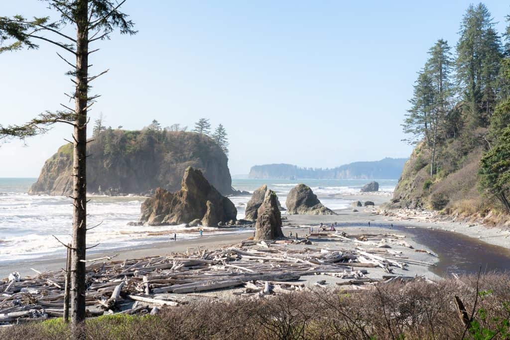 a large beach with multiple rock formations on the beach and in the ocean