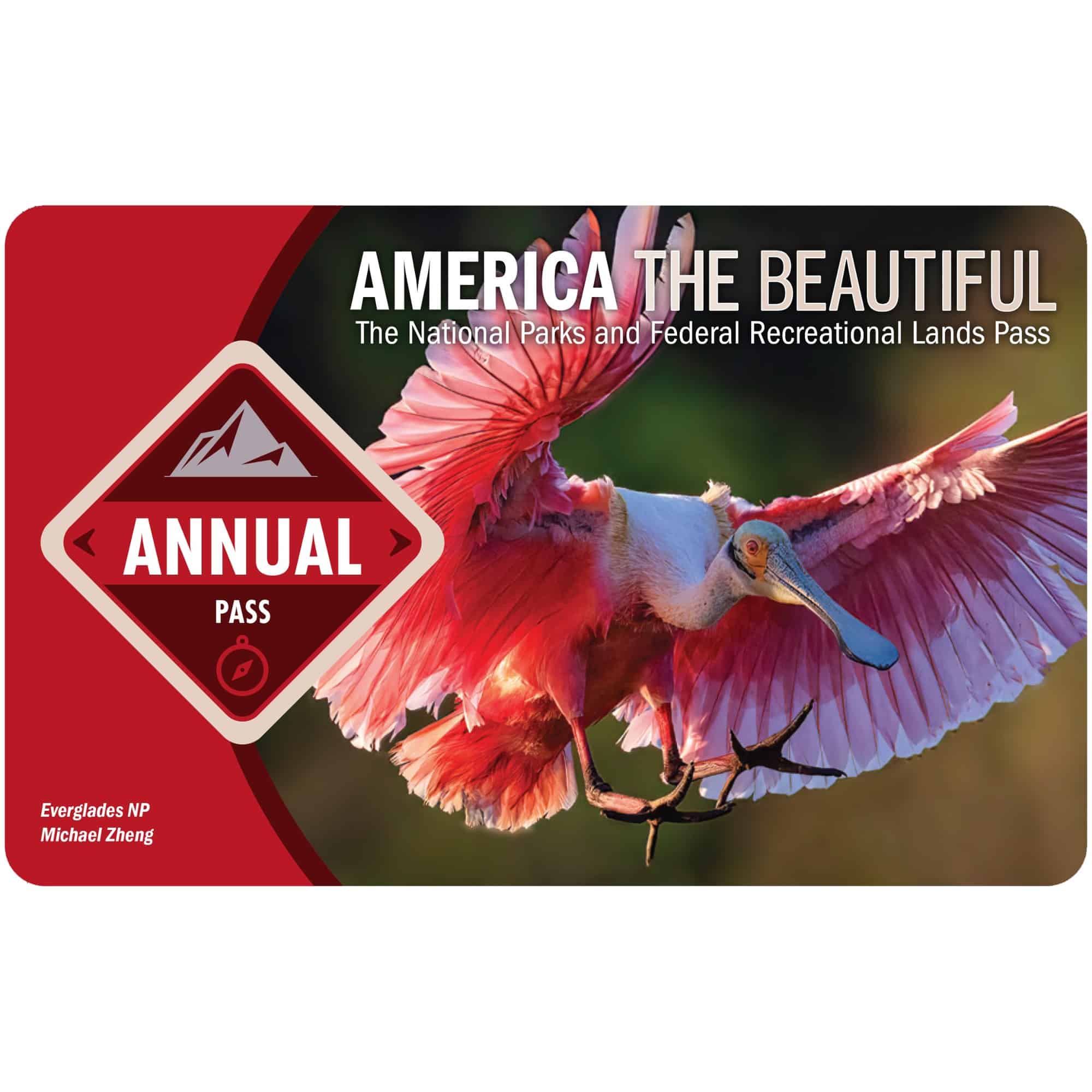 American the beautiful annual pass with a flamingo on it 