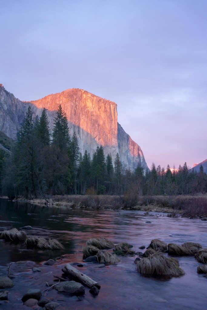 El Capitan with Merced River in foreground, alpenglow on the rock face, no snow