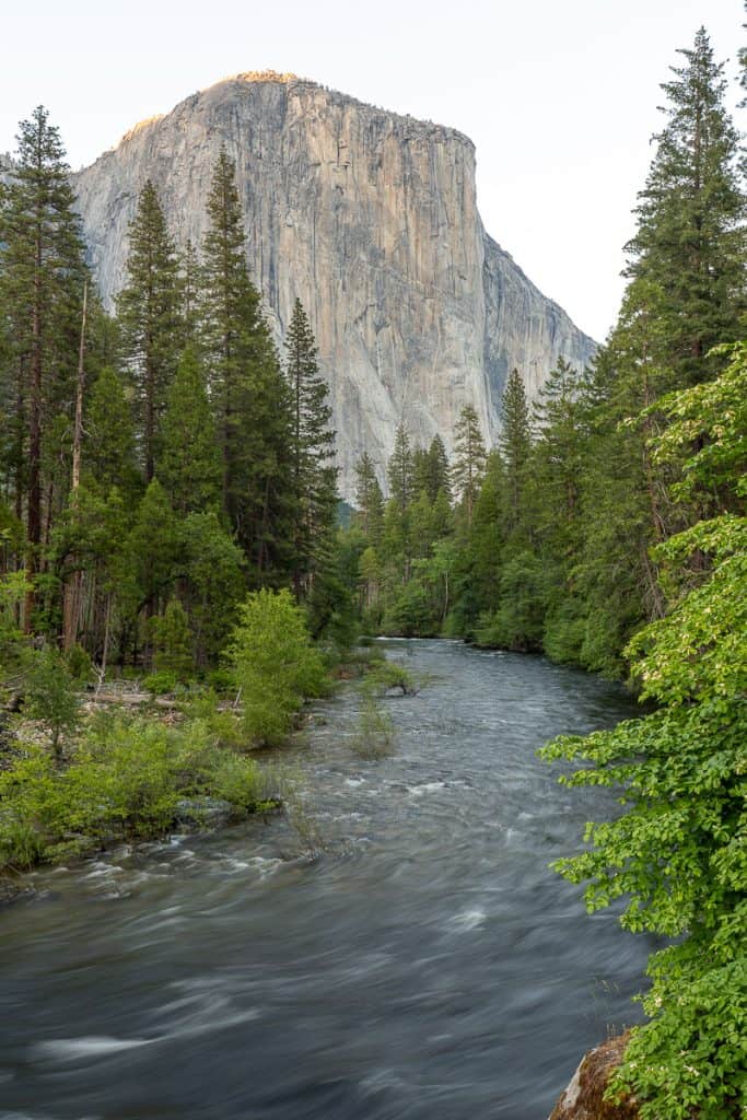 El Captain with the Merced River flowing away from it. Trees line the river side