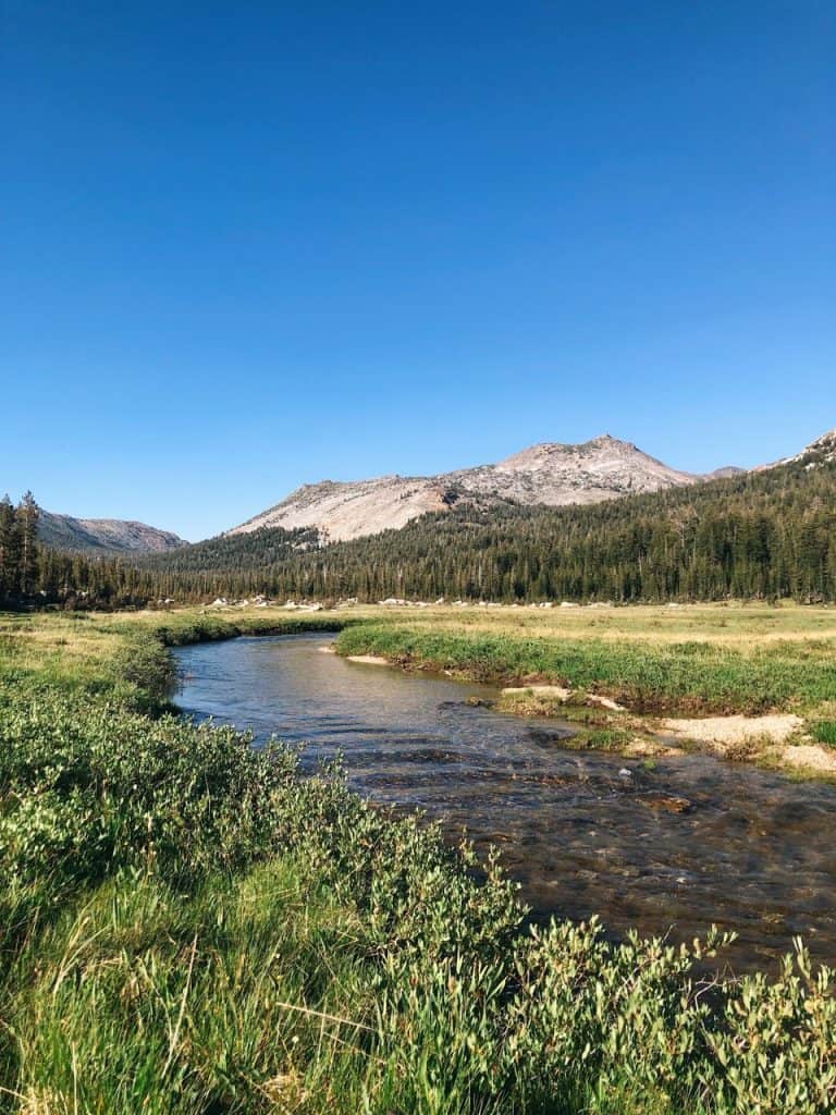 a calm river runs through a green meadow, away from a granite mountain