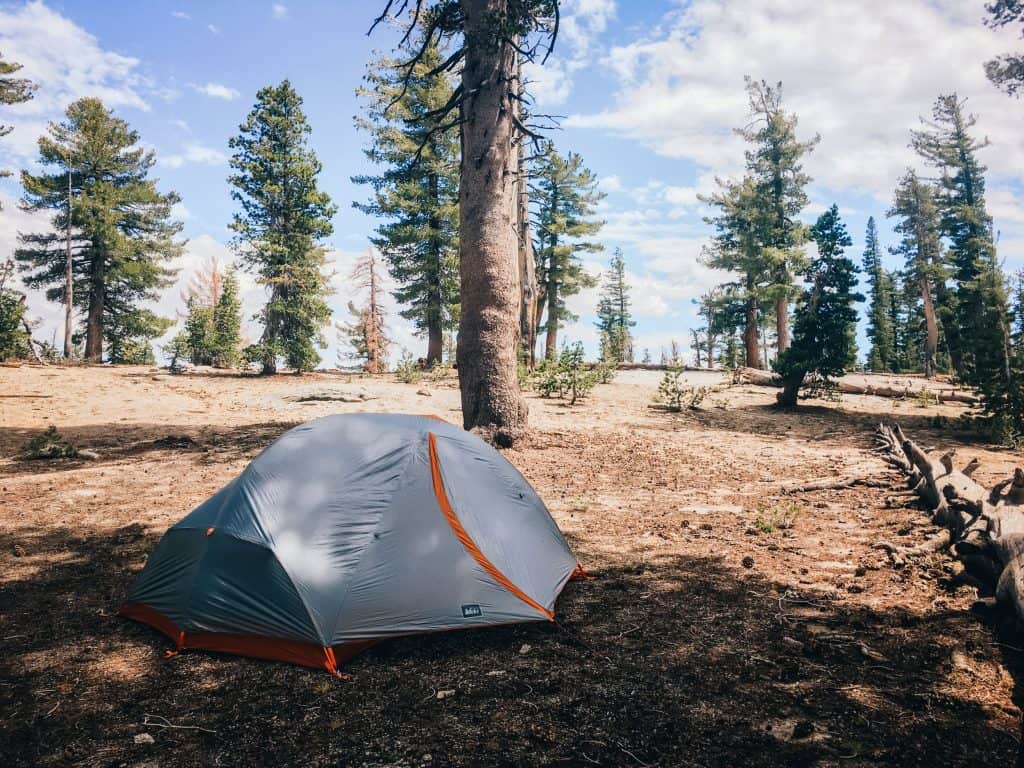 a backpacking tent set up in a wide open dirt patch with scattered trees