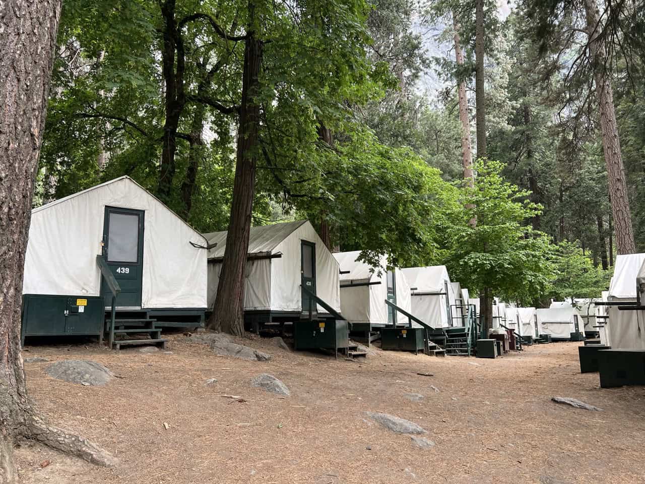 a row of white and green canvas tent cabins in curry village yosemite
