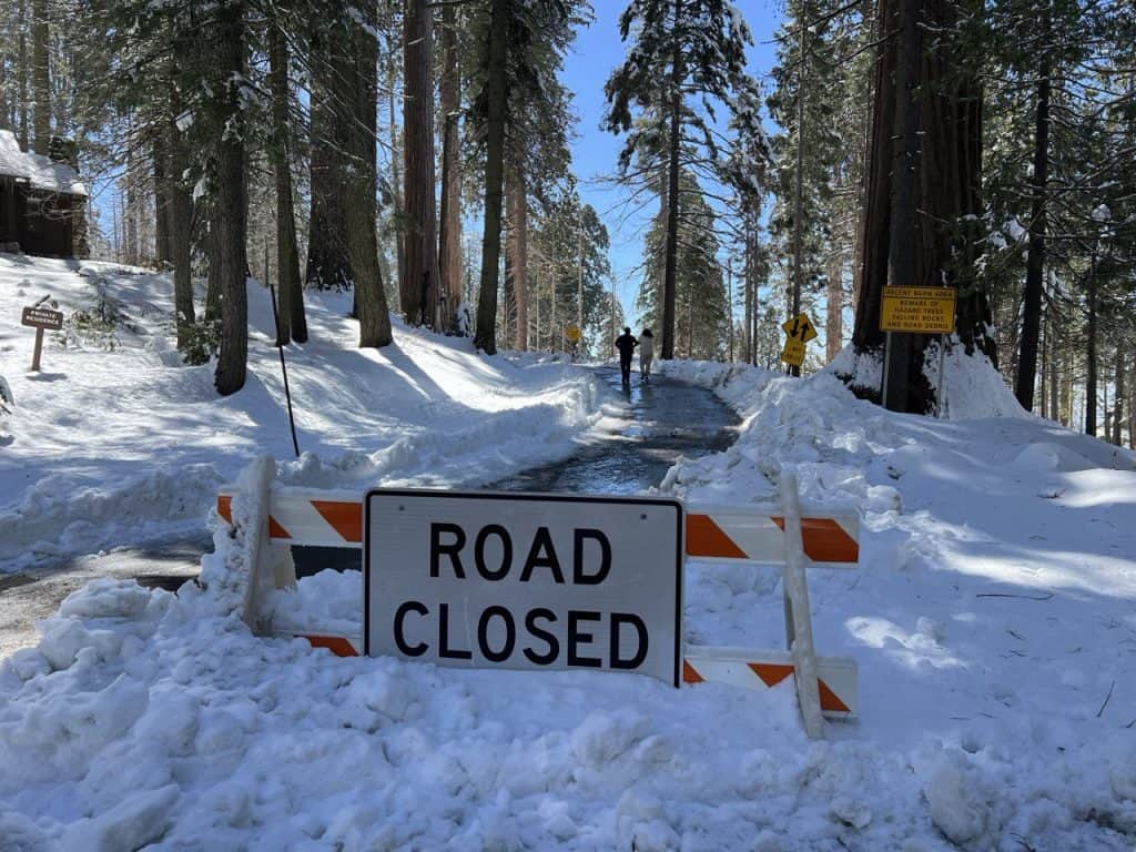 Snow-covered road blocked by "Road Closed" sign in Sequoia National Park.