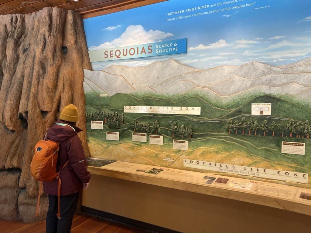 Sequoia National Park map highlighting key zones and scenic areas inside the museum.