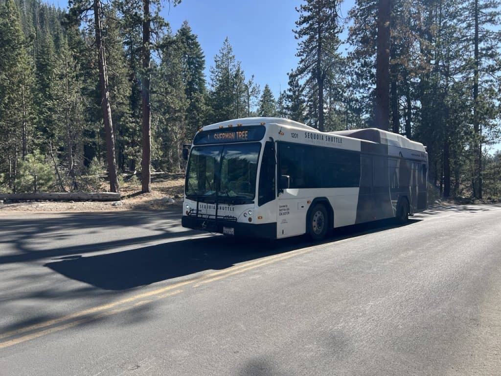 free shuttle bus driving in sequoia national park.