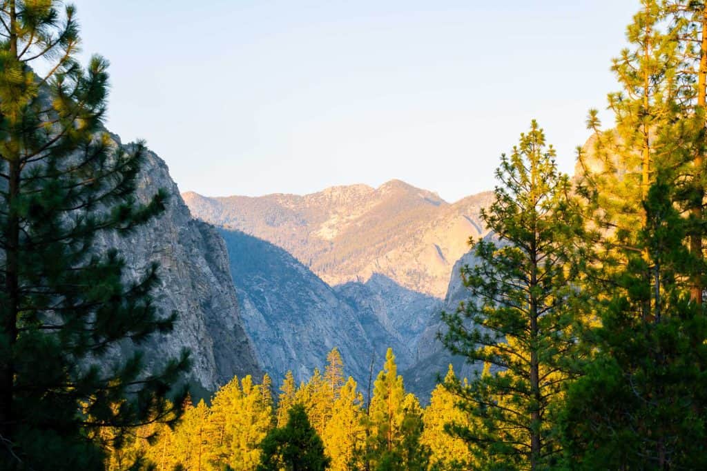 Scenic mountain view featuring lush pine trees in the foreground and rugged peaks in the background in Cedar Grove.