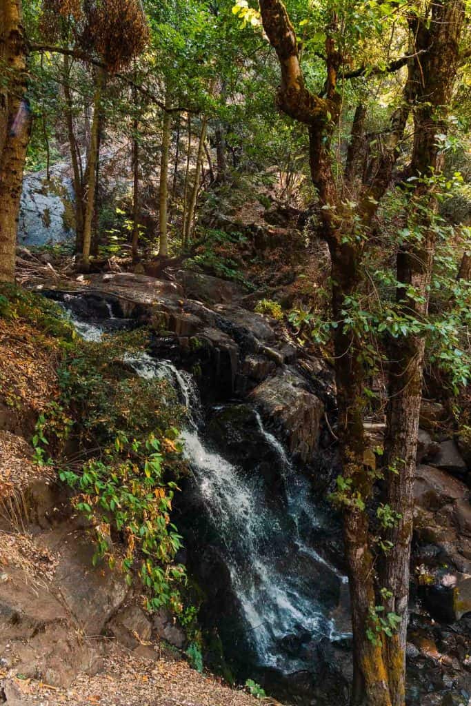 A small waterfall surrounded by forest along the trail the the Crystal Cave.