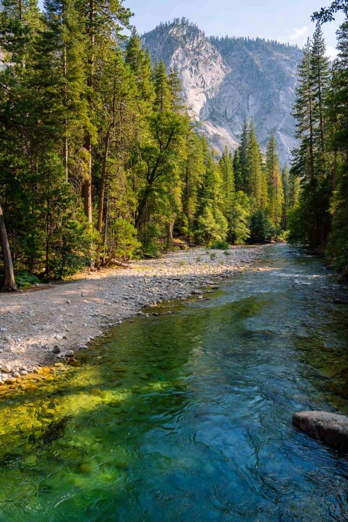 Serene mountain river flowing through lush forest along the hiking trail to Mist Falls in Kings Canyon.