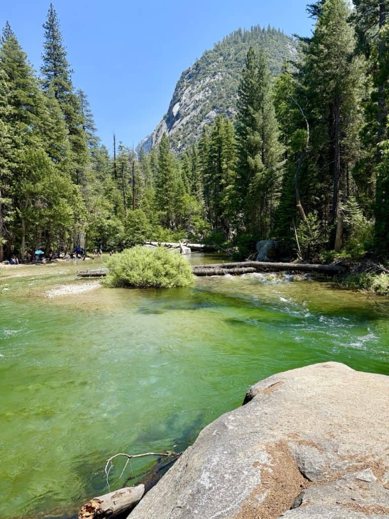 Scenic view of a river in Kings Canyon National Park with lush trees and mountains.