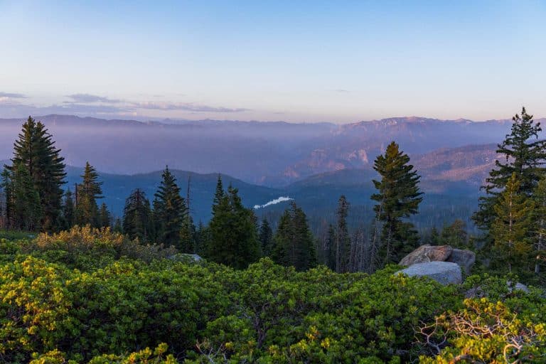 Panoramic view of Kings Canyon with mountains and forest at sunset.