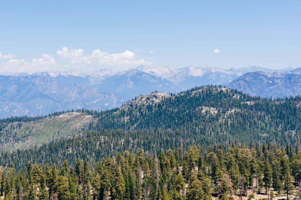 Scenic view of mountains and forests in Kings Canyon National Park from Buck Rock Lookout.